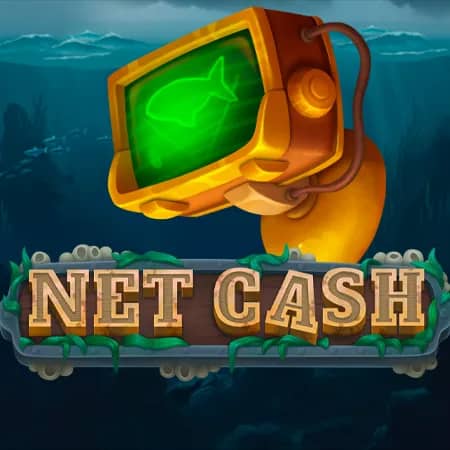Net Cash