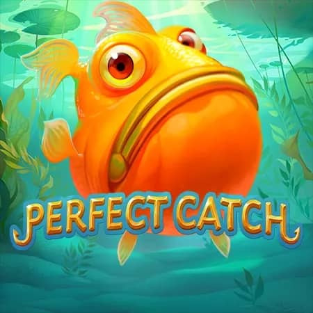 Perfect Catch