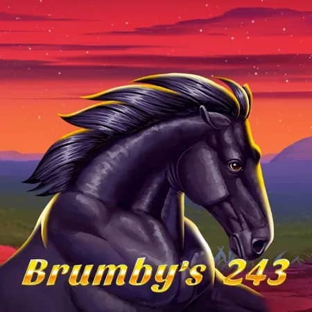 Brumby's 243