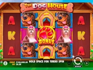 The Dog House Slot Demo — Honest Review, RTP & Volatility