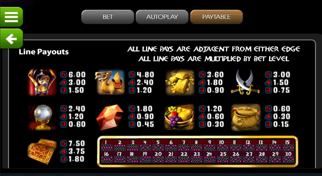 how to play Genie’s Fortune slot game