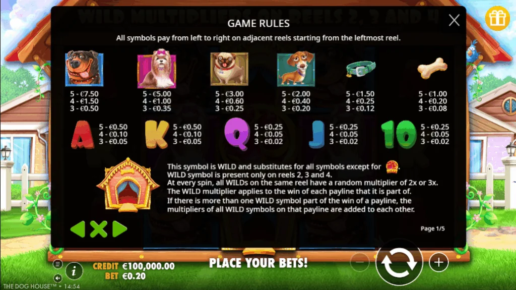 how to play The Dog House slot game